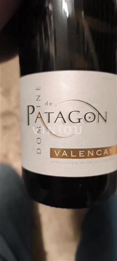 Loire Valley Valençay Domaine Patagon 2025