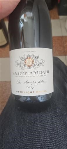 Beaujolais Saint-Amour Dominique Morel Les Champs Fôles 2017