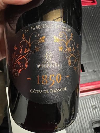 Languedoc a Roussillon Côtes de Thongue Domaine Éric Gelly 1850 Neročník