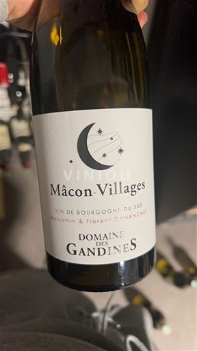 Bourgogne Mâcon og mâcon-landsbyer Domaine S Gandines Ikke årgangsbestemt