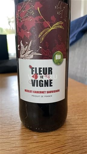 Alsace Fleur de Vigne 2016