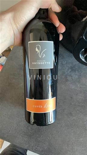 Tây Nam Gaillac Domaine Vayssette Léa 2022