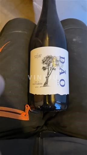 Portugal Dão António Mendes Crl. de Selvares 2021