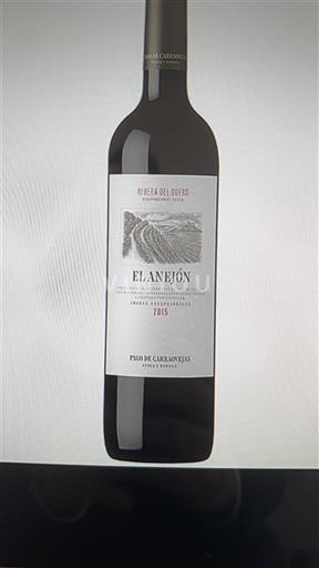 Castille et León Ribera del Duero Pago de Carraovejas El Anejón 2015