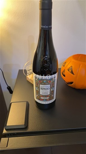 Vénétie Valpolicella Ripasso Domini Veneti Ripasso 2020