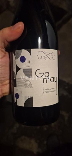 Valle del Loira No especificado Sébastien Voyer Gamay 2024