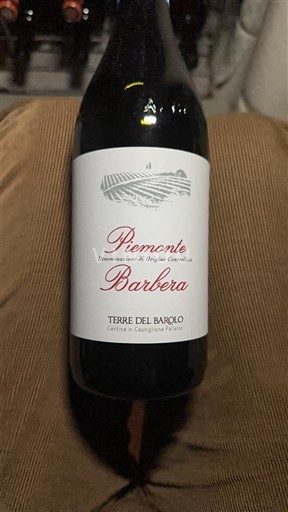 Piemonte Ikke specificeret Terre del Barolo 2022