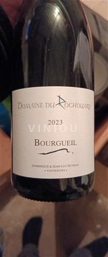 Vale do Loire Bourgueil Domaine Rochouard 2023