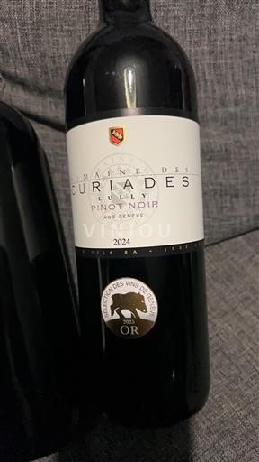 Burgundsko Rully Domaine S Curiades Âge de Rêve 2024