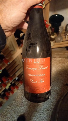 Bourgogne Dominique Laurent Pinot Noir 2010