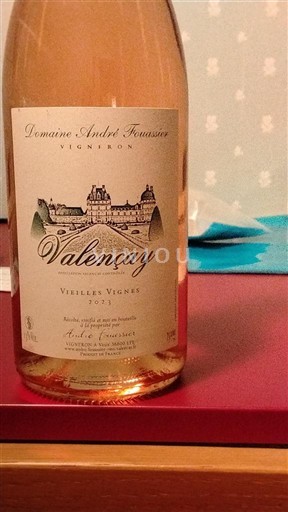 Loire Valley Valençay Domaine André Tissaisin Vieilles Vignes 2021