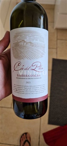 Piemonte Barbera d'Alba Cà del Plin 2021