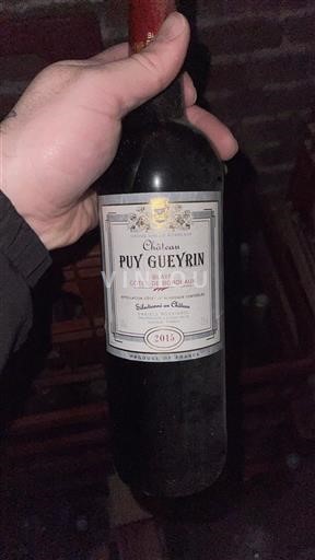 Víno Rouge sec Château Puy Gueyrin 2015 Francie Bordeaux Côtes-de-Bordeaux AOC