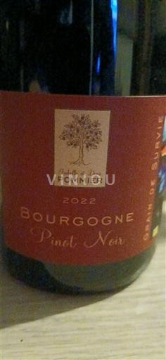 Burgund Domaine Pommier Grain de Survie 2022