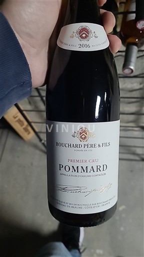 Bourgogne Pommard Premier Cru Bouchard Père & Fils 2016