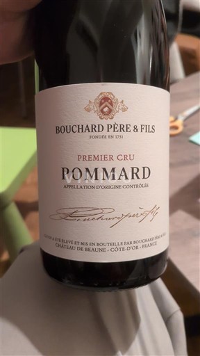 Burgundy Pommard Premier Cru Bouchard Père & Fils 2016