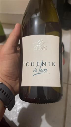 Loiredalen Anjou Domaine S Forges Chenin de Loire Icke årgångsbetecknad