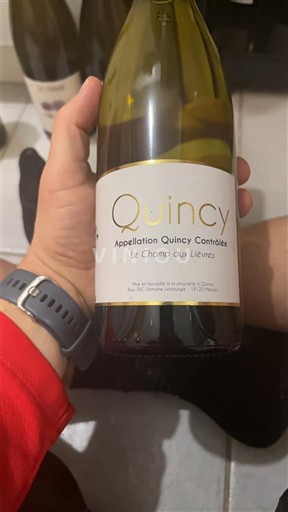 Loire Valley Quincy Le Champ aux Lièvres Non-Vintage