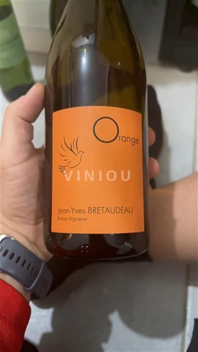Vini Orange sec Orange Jean-Yves Bretaudeau 2023 Francia Valle della Loira Vin de France