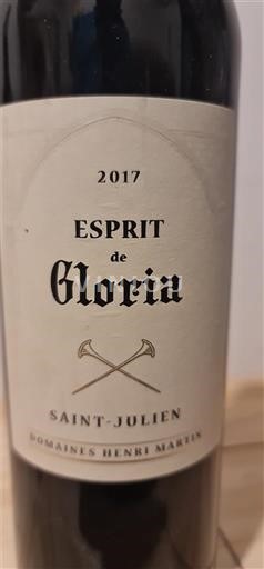 Burdeos Saint-Julien Domaine Domaines Henri Martin Esprit de Gloria 2017
