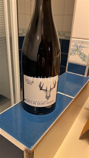 Dolina Loare Muscadet-sèvre-et-maine Château Coing gunther chereau Comté de Saint-Hubert 2010