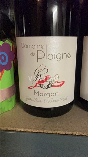 Beaujolais Morgon Domaine Plaigne Senza annata
