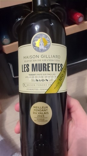 Valais Unspecified Maison Gilliard Les Murettes 2023