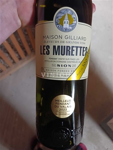 Valais Ni doloceno Maison Gilliard Les Murettes 2023