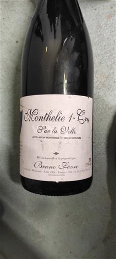 Burgundi Määrittelemätön Premier Cru Bruno Clavelier Sur la Velle 2009