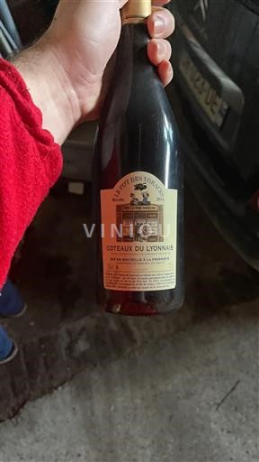 Lyonnais Coteaux-du-Lyonnais Domaine Vieux Bourg 2011