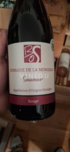 Loire Valley Saumur Domaine La Mongeais Non-Vintage