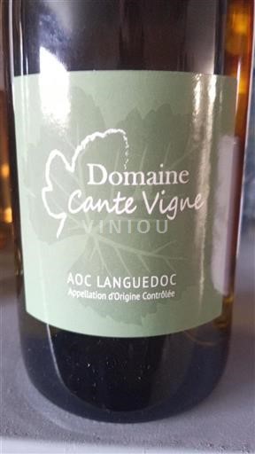 Languedoc Domaine Cante Vigne Ohne Jahrgang