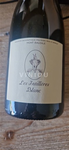 Languedoc and Roussillon Mont Baudile Mont Baudile Les intilleres Blanc 2024