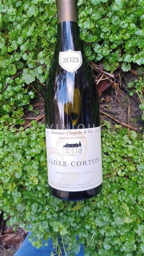 Burgundija Aloxe-Corton Domaine Chapelle & Fils 2023