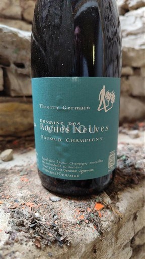 Loire-dalen Saumur-Champigny Domaine S Roches Neuves 2024