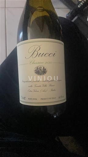 Marche Verdicchio dei Castelli di Jesi Bucci Classico superiore 2024