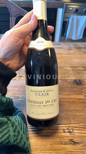 Borgogna Non specificato Premier Cru Françoise & Denis Clair Clos des Mouches 2017