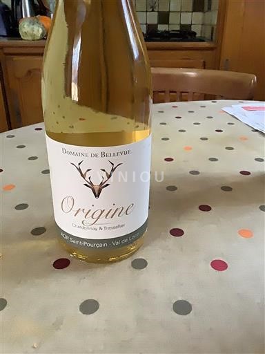 Loirevallei Saint-Pourçain Domaine Bellevue Origine 2020