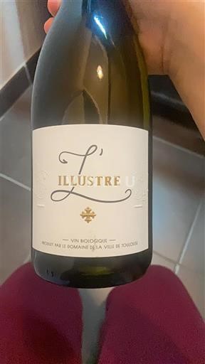 Sydvestfrankrig Comté tolosan Domaine Candie L'Illustre 2024