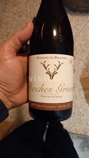 Vale do Loire Saint-Pourçain Domaine Bellevue Roches Grises 2015