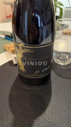 Údolí Rhôny Saint-Joseph Anthony Paret Les Larmes du Pape 2023