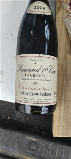 Bourgogne Ikke specificeret Premier Cru Olivier Cyrot-Buthiau La Chanière 2009