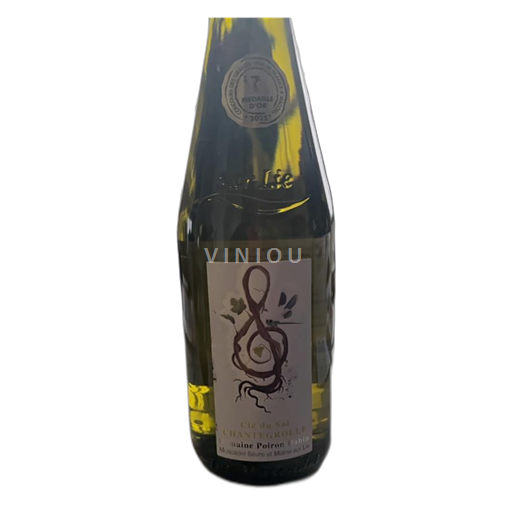 Valle della Loira Clé du Sol muscadet Chantegrolle 2023