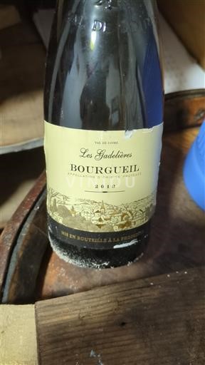 Vale do Loire Bourgueil Les Gadelieres 2018
