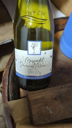 Vallée de la Loire Muscadet-sèvre-et-maine Domaine Racapé Sur Lie 2023