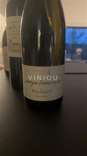 Sydvestfrankrig Côtes de Gascogne Pellehaut Ampelomeryx 2021