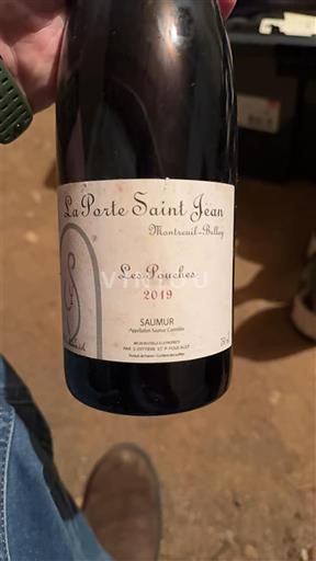 Loire-dalen Saumur La Porte Saint Jean Les Pouches 2019