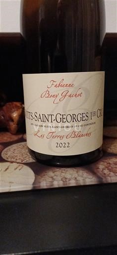 Bourgogne Nuits-Saint-Georges Premier Cru Fabienne Bony-Gachot Les Terres Blanches 2022