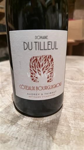Bourgogne Bourgognebackar Domaine Tilleul 2024