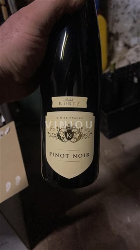 Alzacija Ni doloceno Michel Kurtz Neleten.